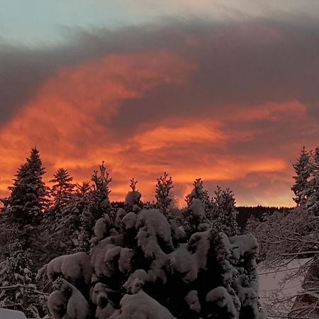 Apartamenty Pod Limba Zakopane Bagian luar foto