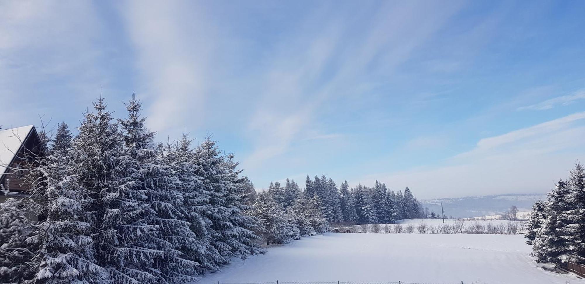 Apartamenty Pod Limba Zakopane Bagian luar foto