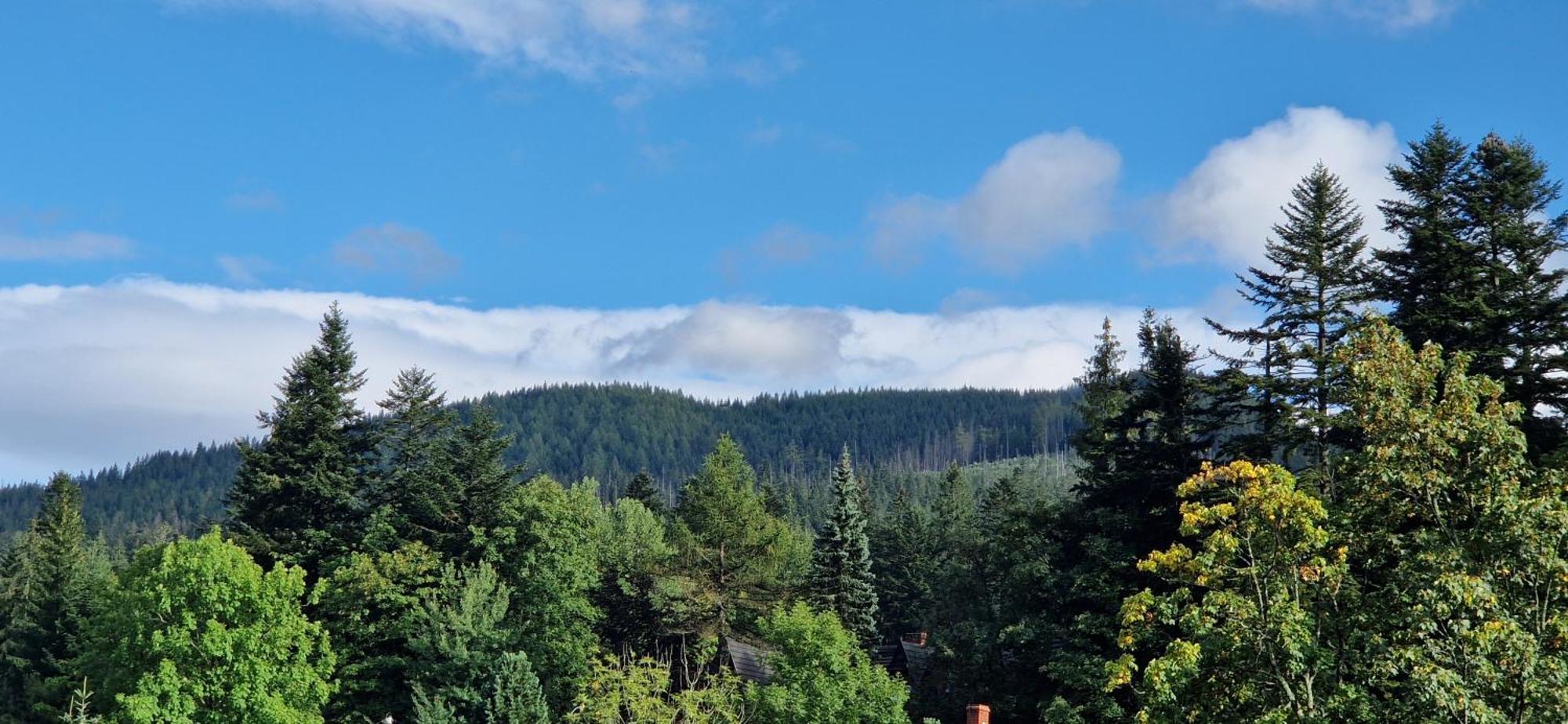 Apartamenty Pod Limba Zakopane Bagian luar foto