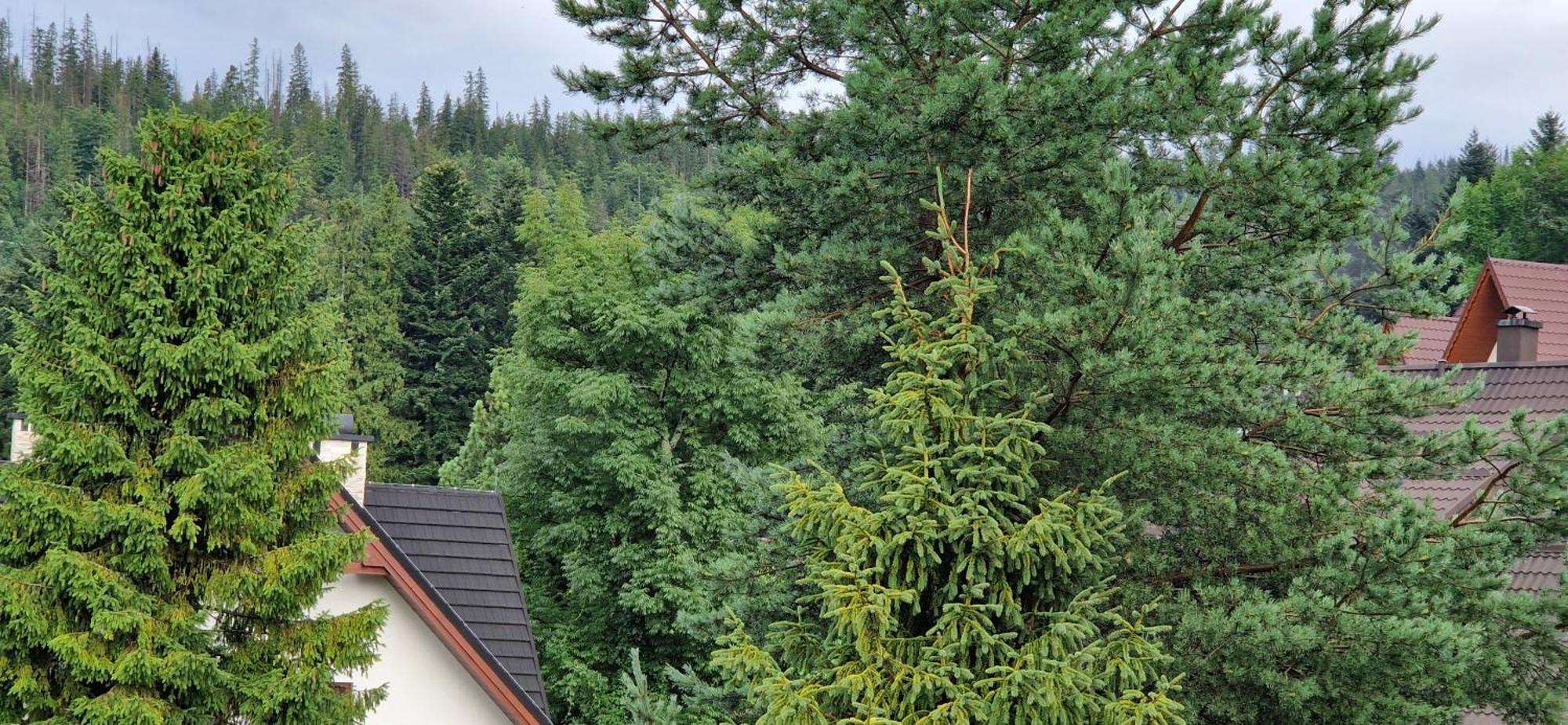Apartamenty Pod Limba Zakopane Bagian luar foto